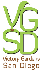 VGSD-Logo VGSD Logo